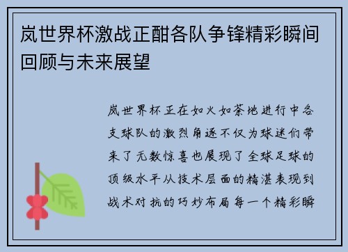 岚世界杯激战正酣各队争锋精彩瞬间回顾与未来展望